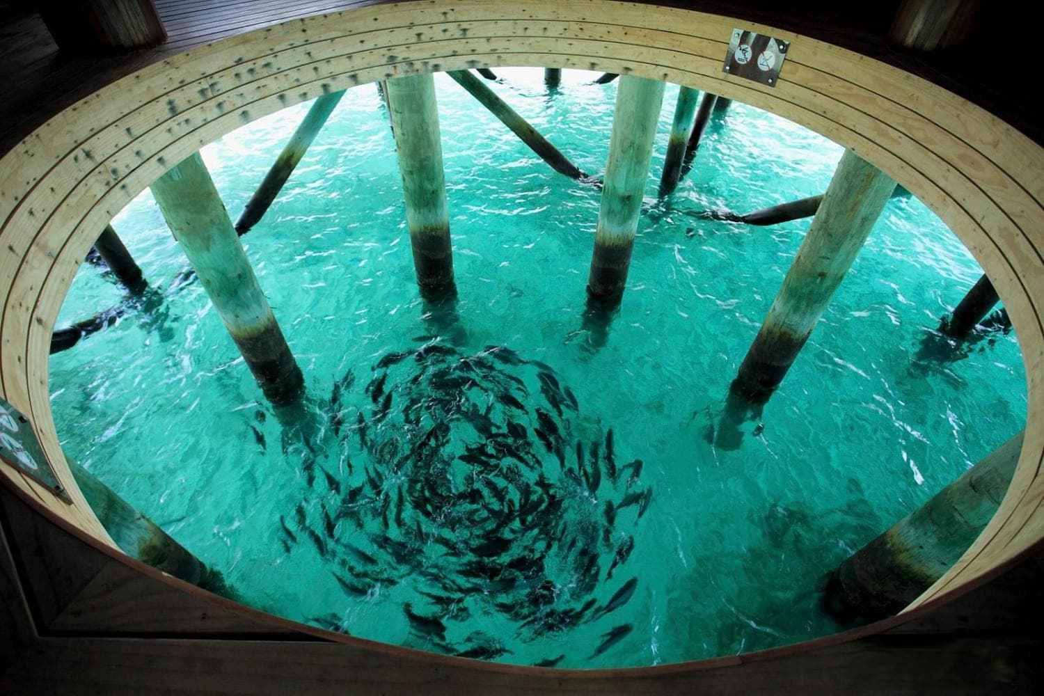 Centara Ras Fushi Resort & Spa Maldives