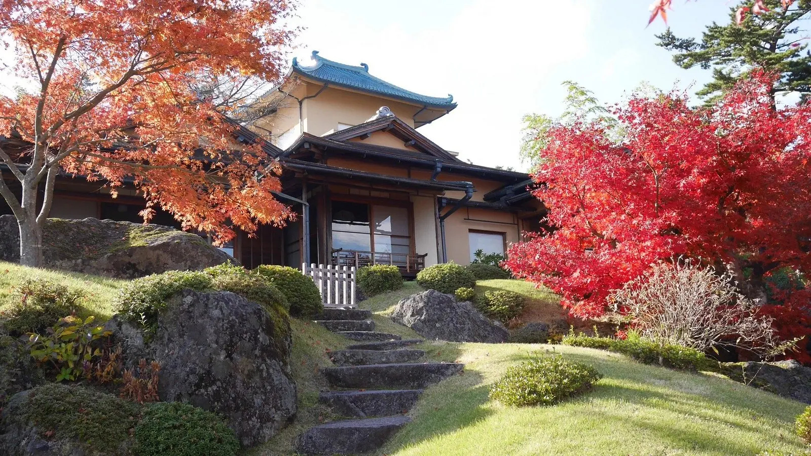 Груповий тур «Сакура Стандарт 2026»