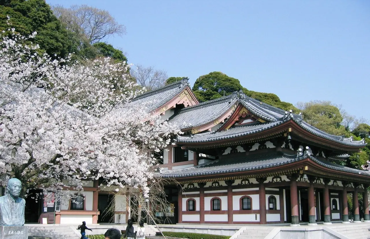 Зимовий моніторний тур Токіо (Йокогама) – Нагано (Мацуомото, Сібу Онсен, Парк снігових мавп тощо) – Кіото – Нара