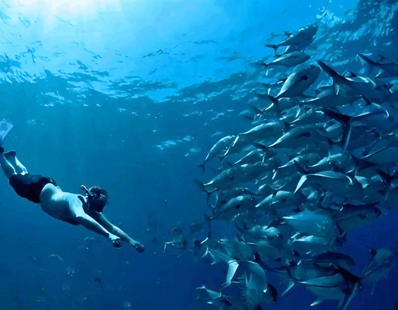 Найкраще Коста Ріка