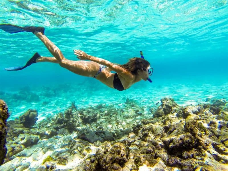 Сноркінг на рифі Мнемба