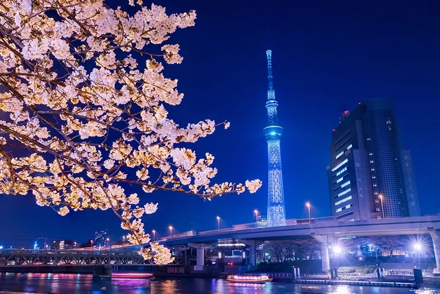 Груповий тур «Спека Економ»