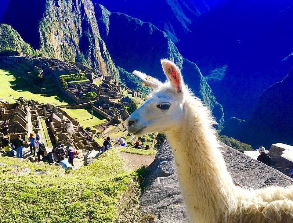 5 країн Латинської Америки