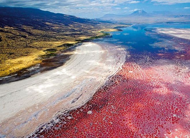 Планета «Танзанія»: сафарі-парки + озеро Натрон + водоспад + вулкан + село Масаї