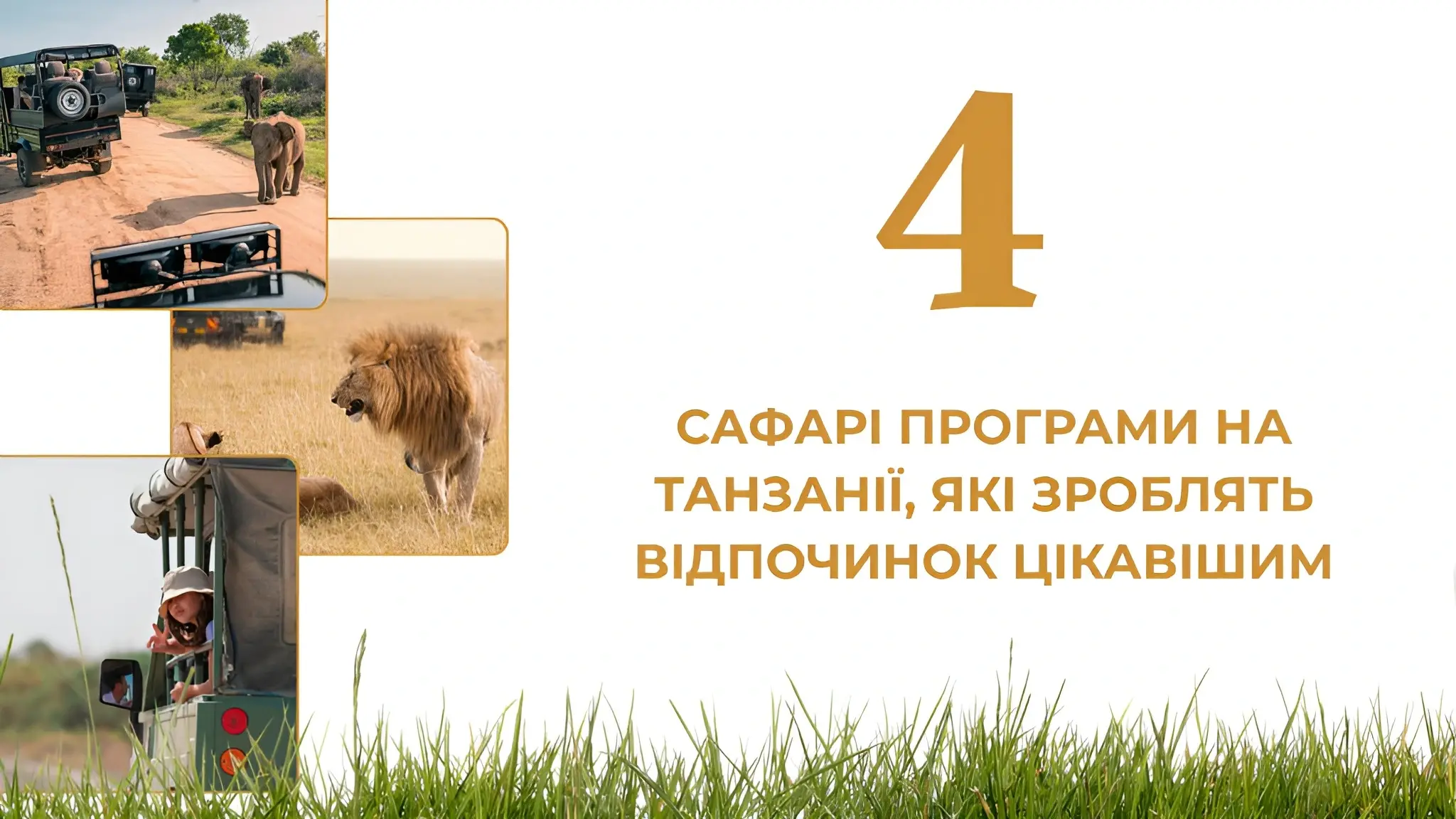 Плануєте відправитись у подорож на Занзібар?